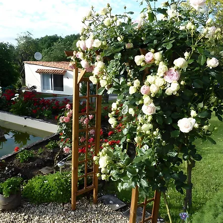 Bed and breakfast Le Bois Du Mas